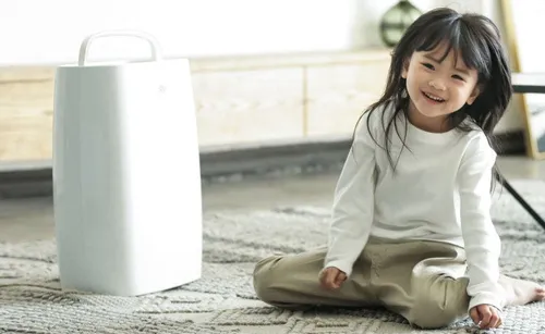 xiaomi dehumidifier d