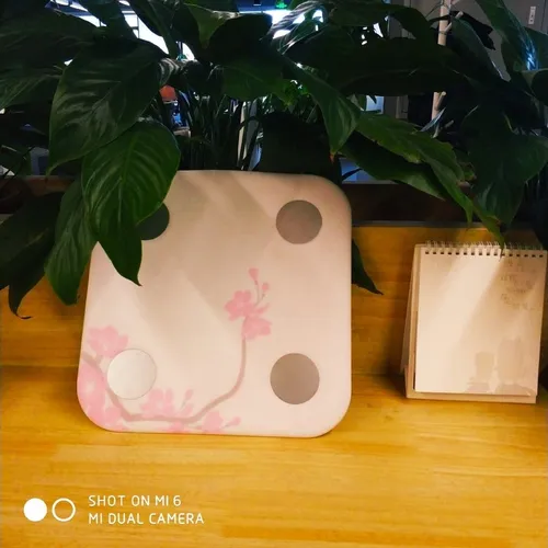 xiaomi smart body scale