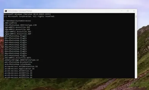 cmd assoc e1694794337743