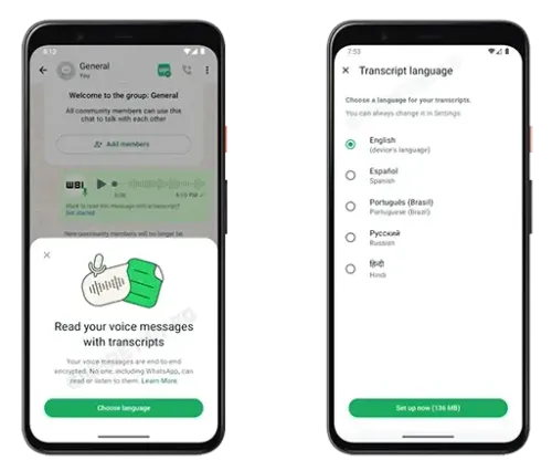 whatsapp transcript2