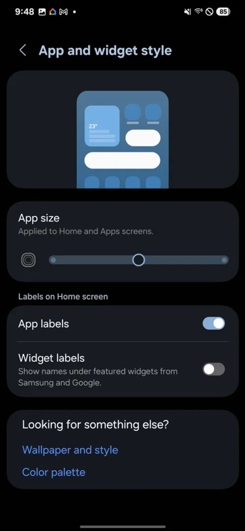 widget settings