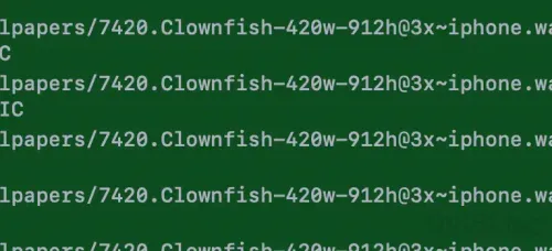 clownfish wallpaper asset ios 26 beta 2 2
