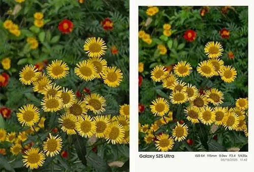 One UI 8 Camera Watermark