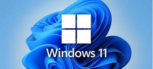 Windows 11