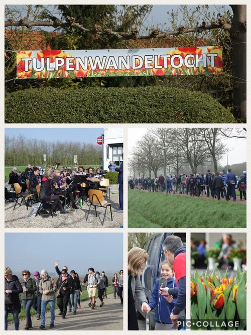 foto tbv persbericht na afloop tulpenwandeltocht