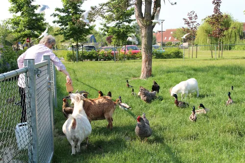 de geitenweide bij nieuw rijsenburgh