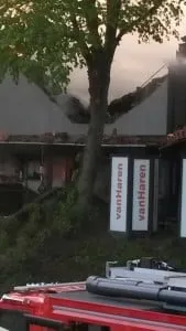 11232423 10206706908492770 993159051 o 169x300