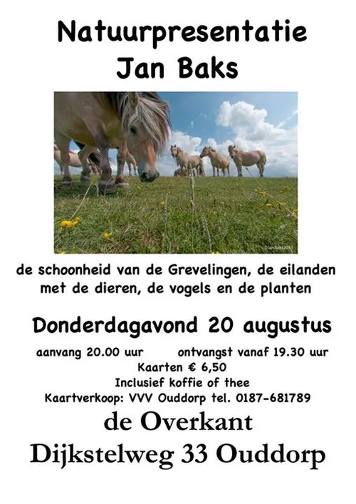 11800049 597631440339925 2716029110930291314 n