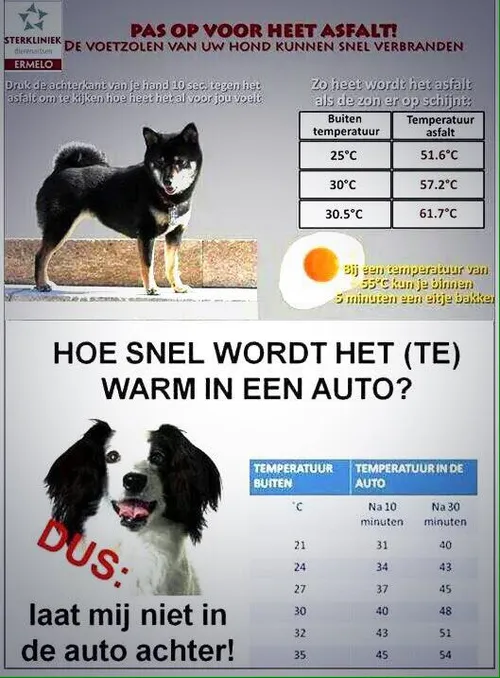 13119041 983982518353696 6431199920738742132 n