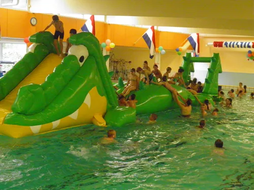 20180228 krokodil gooye