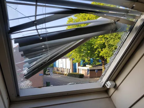 21245777 10213650882527525 330546835 o