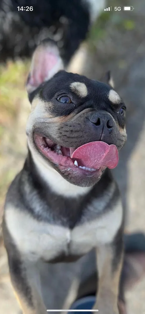 357074760 575101024832353 8273272034356204807 n