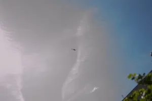 brand dn diek 14 300x200