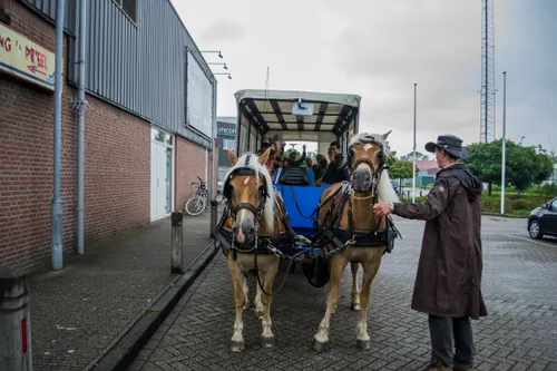 feest dahlia prieel 5