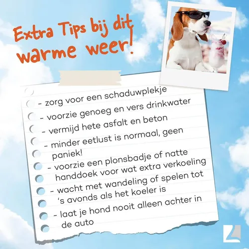 huisdier tips zomer van der helm