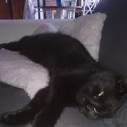 received 897665813627525