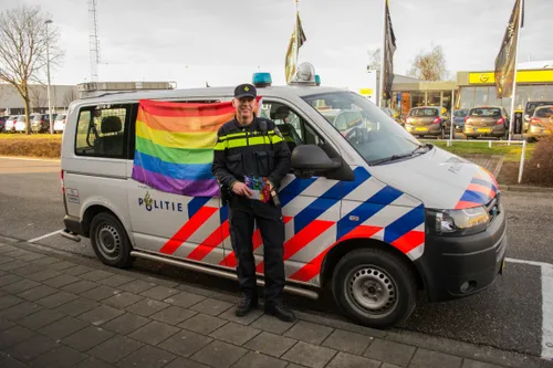 roze in blauw bert hulzebosch 1