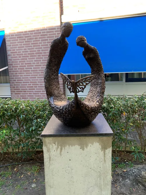 vlinderbeeld ziekenhuis4