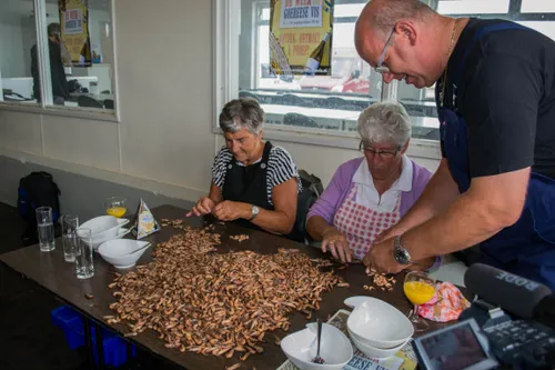 week van de goereese vis 2016 6