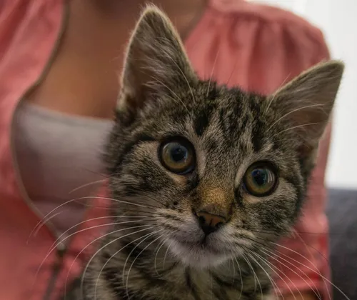 wendy baan 1 e1443792621110