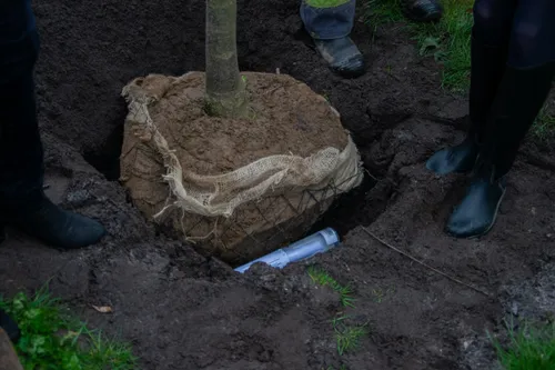 whatsapp image 2019 03 22 at 161344 2