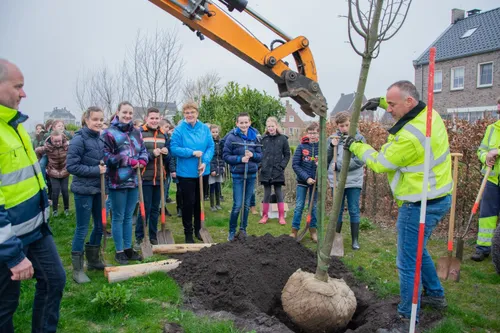 whatsapp image 2019 03 22 at 161344