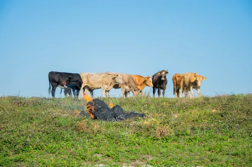 whatsapp image 2020 09 23 at 103155 1