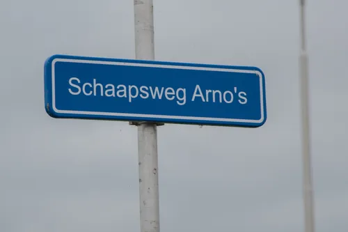 whatsapp image 2021 08 31 at 084532 1