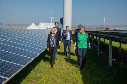 whatsapp image 2022 03 28 at 195513 6