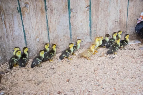 whatsapp image 2023 01 08 at 100457