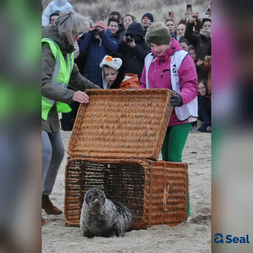 whatsapp image 2024 03 01 at 135154