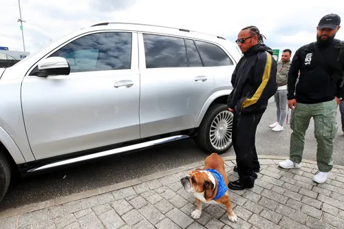 lewis-hamilton-dog-roscoe-f1-silverstone