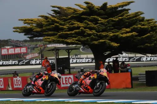 Philip Island tree KTM MotoGP
