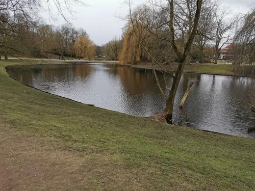 img 20210306 125354 resized 20210306 034025511