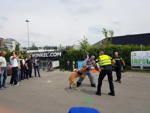 20180616 141602 resized