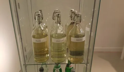 3 universiteitsmuseum