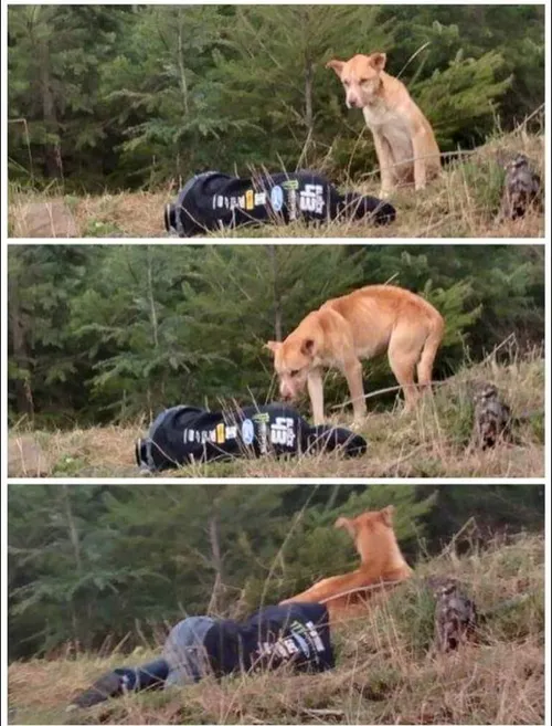 schermafbeelding 2023 12 16 om 213833