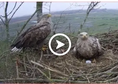 schermafbeelding 2024 03 06 om 184546