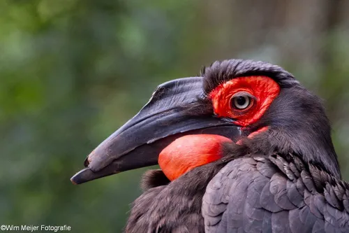 10368996 847090388636248 3871469909942564586 o