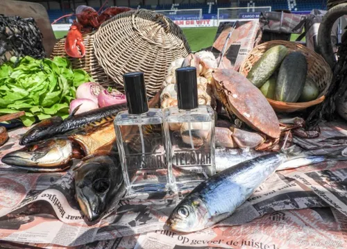 105393426 2961863843912862 319143783928034141 o 1024x737