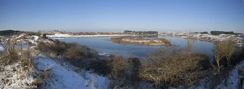 10856596 962497197095566 3884909825377568302 o