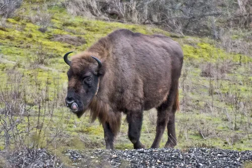 139680878 3563063480459559 275343388913178269 o