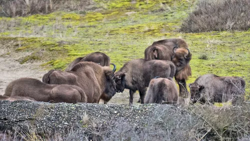 140084381 3563063520459555 8640059645694866956 o