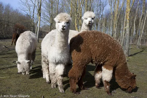 16900390216 9fe3caa397 o