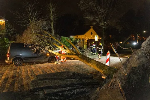 18 februari 2022 nieuwsfoto haarlem 02 1