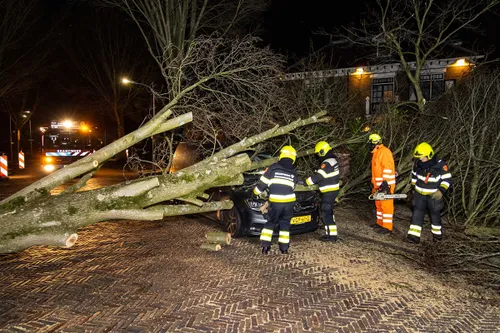 18 februari 2022 nieuwsfoto haarlem 03 1