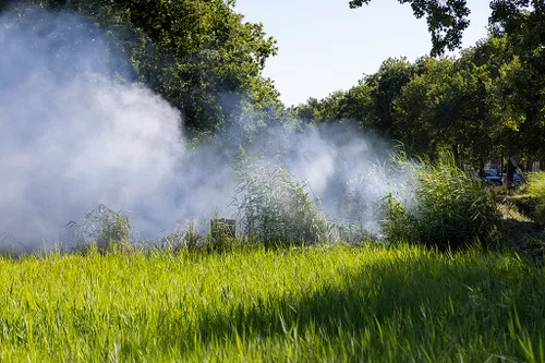 20220715 vondelweg 01