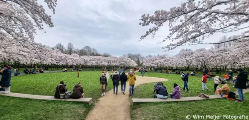 20240317 104854 kopieren