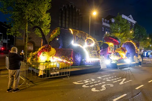 20240420 bloemencorso 11