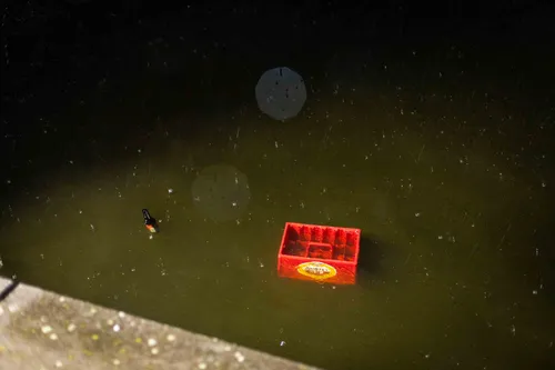 21 augustus 2021 nieuwsfoto spaarndamseweg 04 1